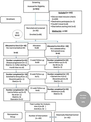 A Phase 2 Randomised Clinical Trial Assessing the Tolerability of Two Different Ratios of <mark class="highlighted">Medicinal Cannabis</mark> in Patients With High Grade Gliomas